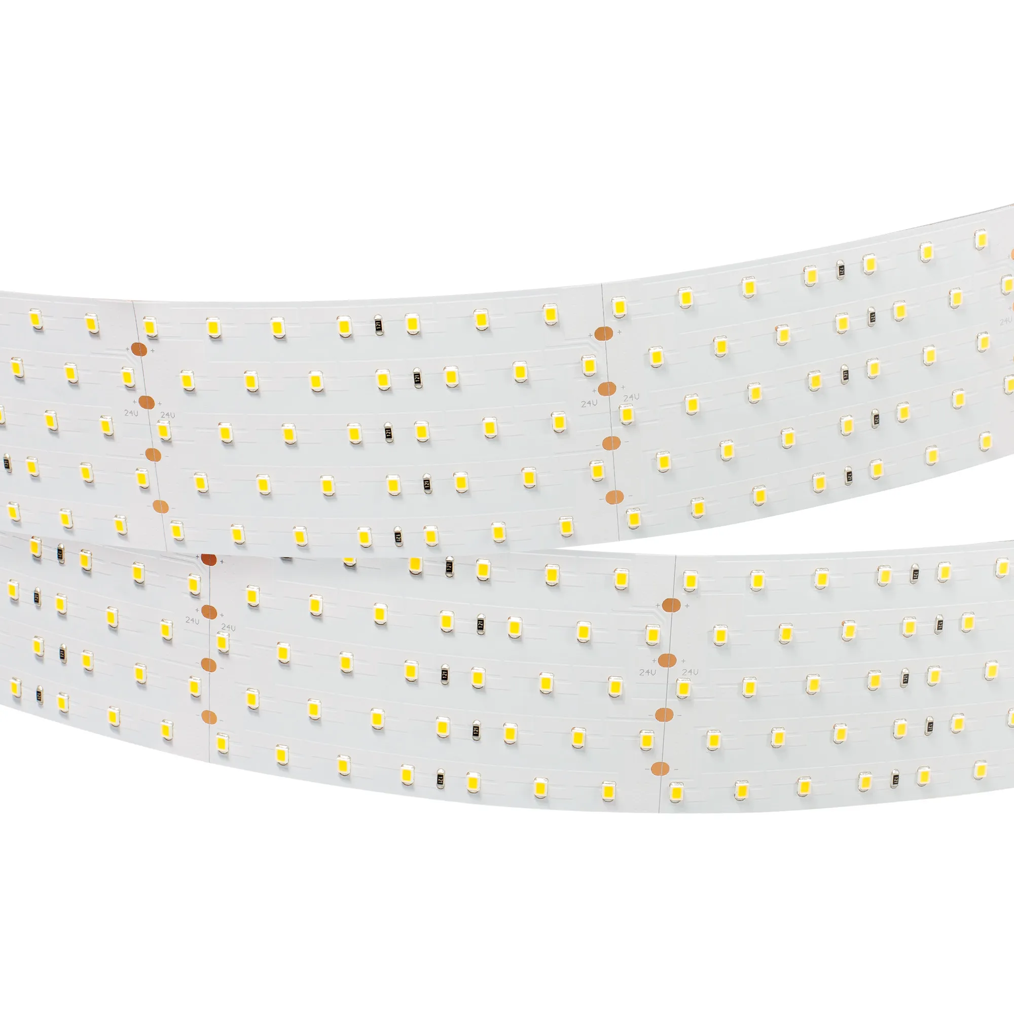 Лента светодиодная RT 2-2500 24V Day4000 5x2 (2835, 875 LED, LUX) (Arlight, 36 Вт/м, IP20)